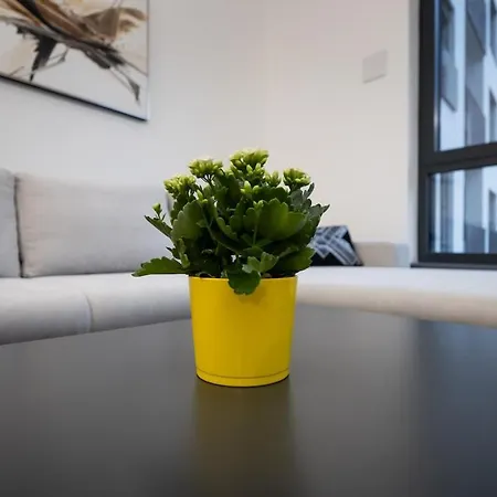 Apartmán Kesselbauer Luxe - Old Town, Style & Comfort *
